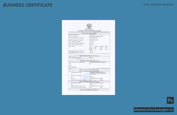 Beispielansicht eines Registrierungszertifikats aus Tadschikistan